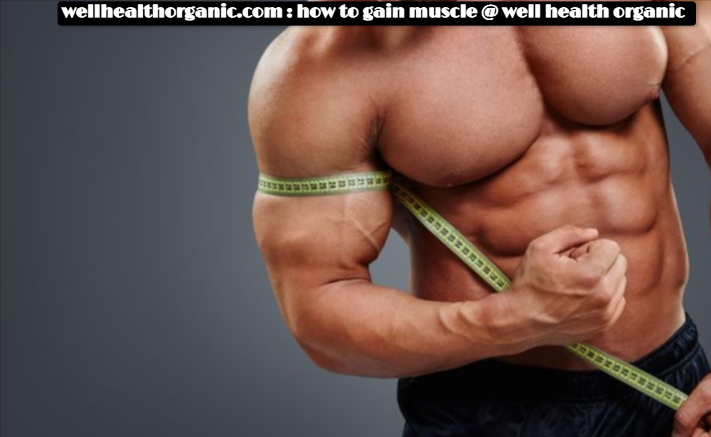 wellhealthorganic.com : how to gain muscle @ well health organic