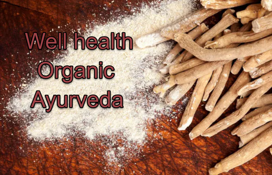 well health organic ayurveda