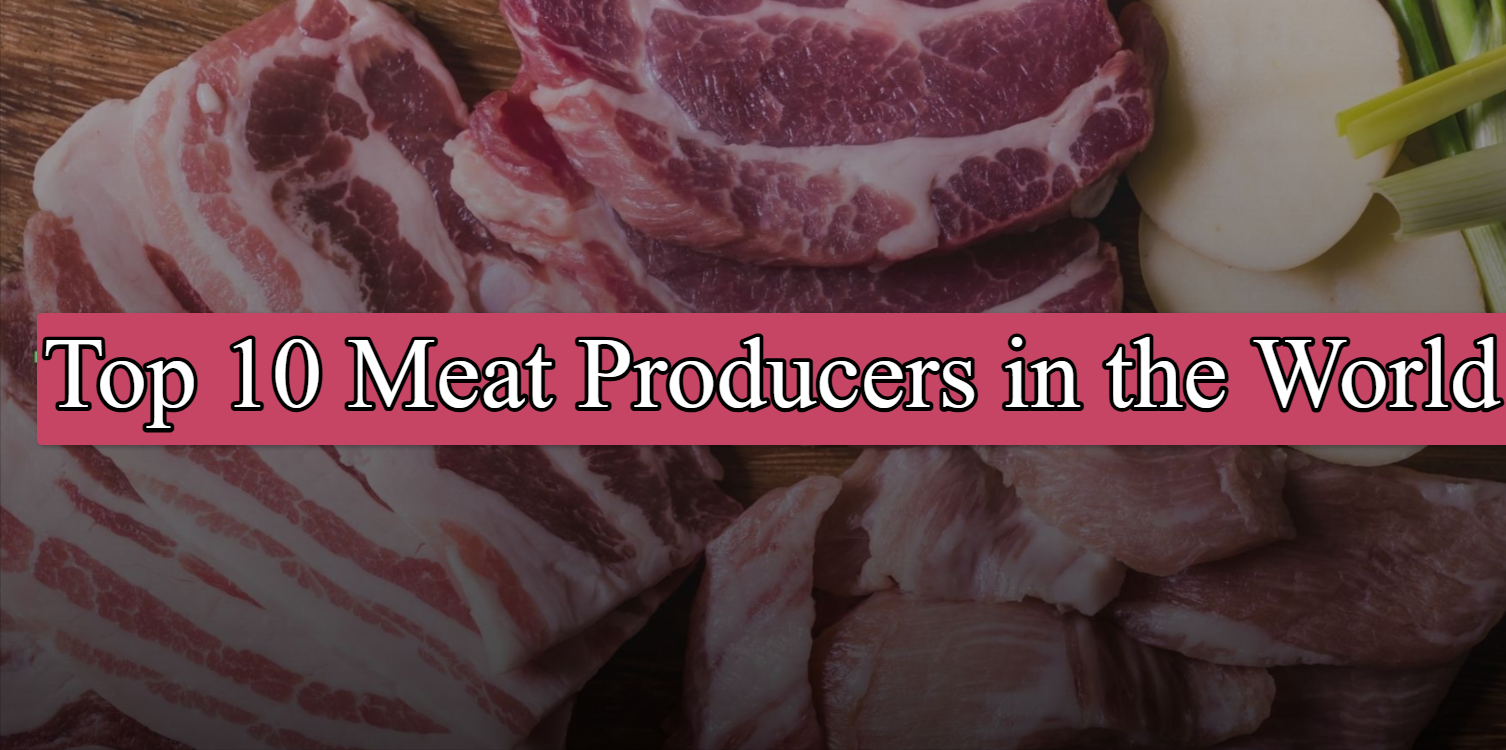 Top 10 Biggest Meat Producers in the World