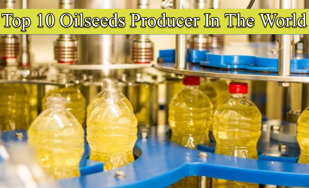 Top 10 Biggest Oilseeds Producer In The World