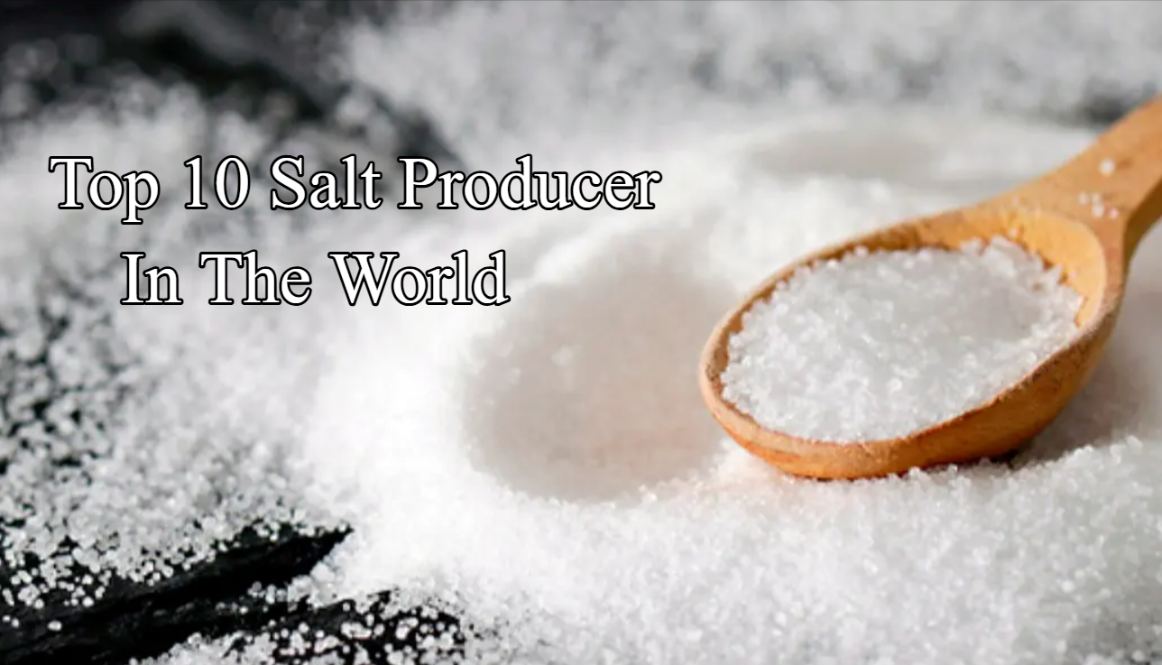Top 10 Famous Producer In The World